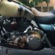 Custom Airbrushed motorcycles