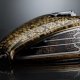 Motorcycle gas tank paint designs