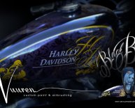 Custom paint and airbrushing